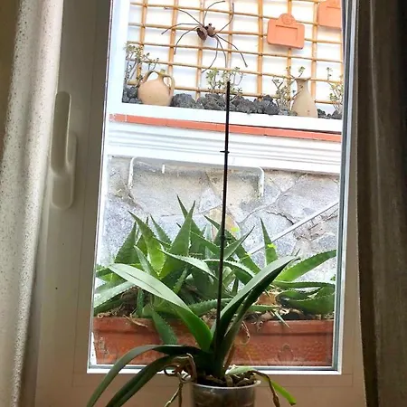 Apartman Tavernetta Sul Porto
